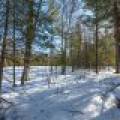 Lot 11 off Fawn Ridge Ln, , Eagle River,  WI 54521