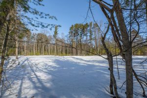 Lot 11 off Fawn Ridge Ln, , Eagle River,  WI 54521