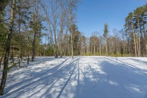 Lot 11 off Fawn Ridge Ln, , Eagle River,  WI 54521
