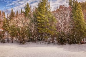 Lot 6 On Bonkowski Rd, , Three Lakes,  WI 54562