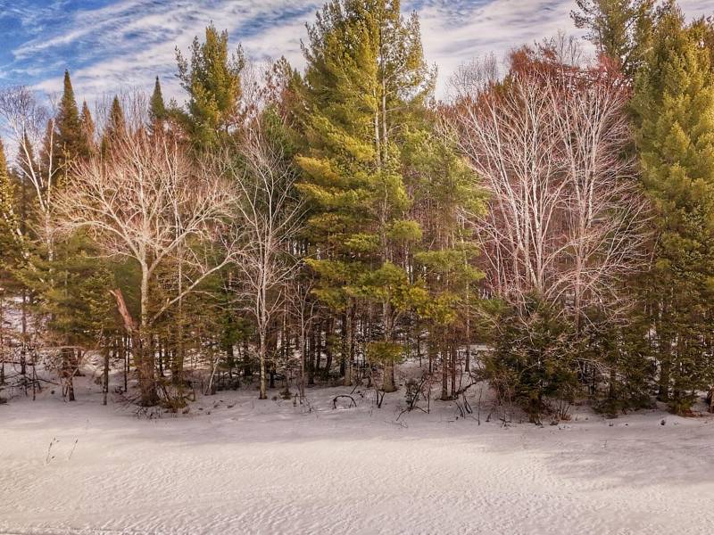 Lot 6 On Bonkowski Rd, , Three Lakes,  WI 54562