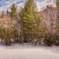 Lot 6 On Bonkowski Rd, , Three Lakes,  WI 54562