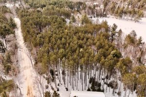 Lot 6 On Bonkowski Rd, , Three Lakes,  WI 54562