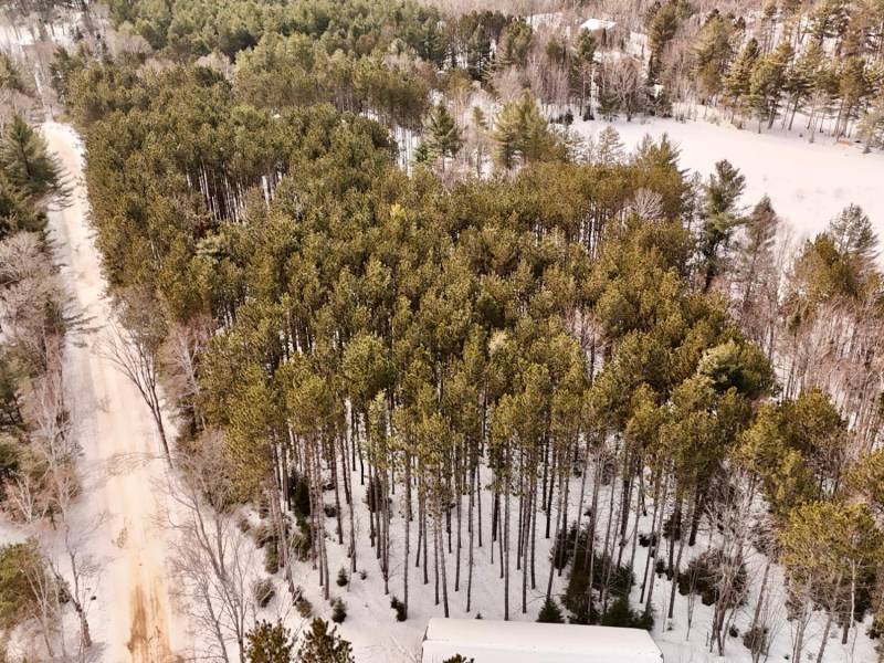 Lot 6 On Bonkowski Rd, , Three Lakes,  WI 54562