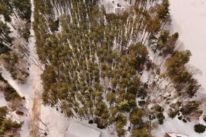 Lot 6 On Bonkowski Rd, , Three Lakes,  WI 54562