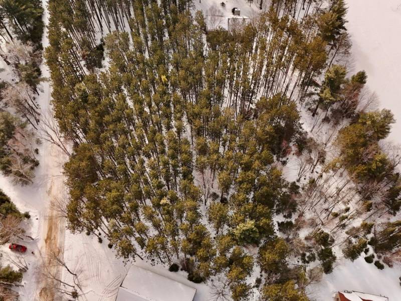 Lot 6 On Bonkowski Rd, , Three Lakes,  WI 54562