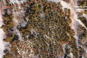 Lot 6 On Bonkowski Rd, , Three Lakes,  WI 54562