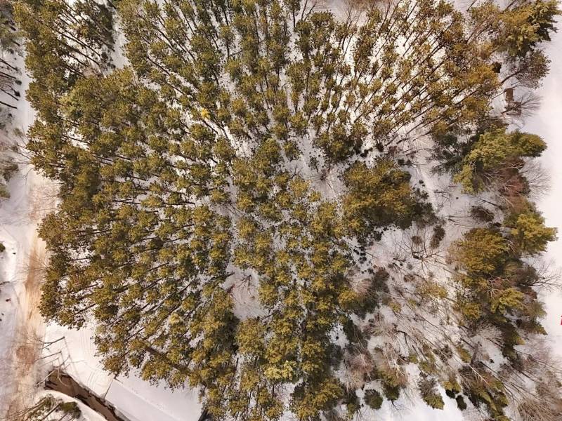 Lot 6 On Bonkowski Rd, , Three Lakes,  WI 54562