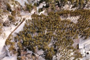 Lot 6 On Bonkowski Rd, , Three Lakes,  WI 54562