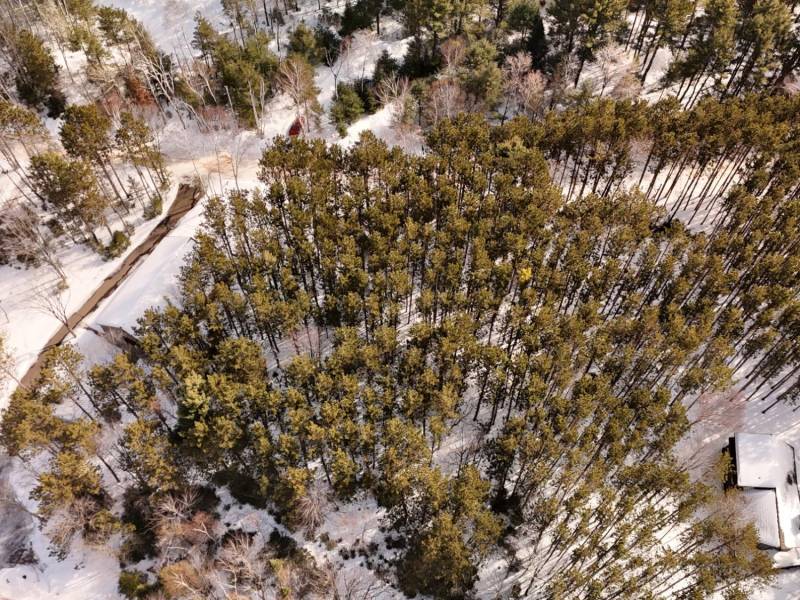 Lot 6 On Bonkowski Rd, , Three Lakes,  WI 54562