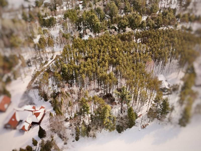 Lot 6 On Bonkowski Rd, , Three Lakes,  WI 54562