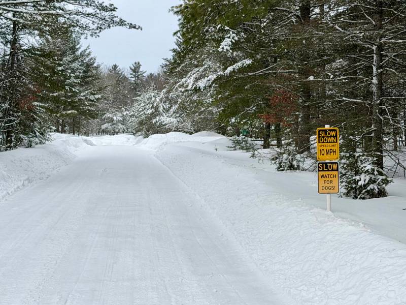 On Red Pine Ln, , Land O Lakes,  WI 54540