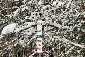 On Red Pine Ln, , Land O Lakes,  WI 54540