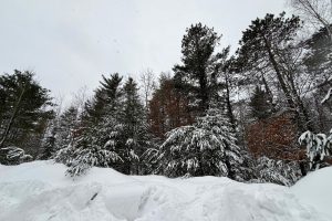 On Red Pine Ln, , Land O Lakes,  WI 54540