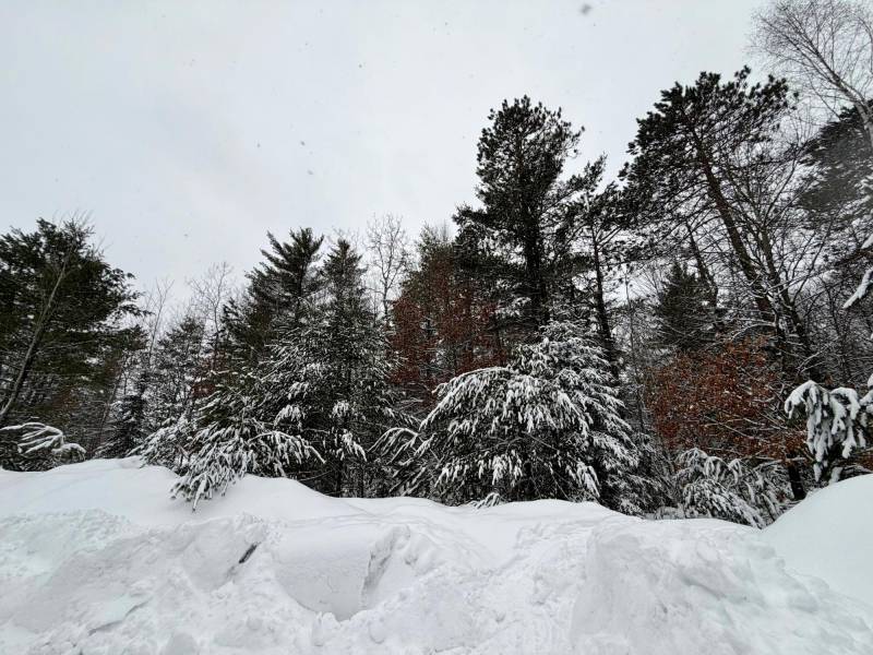 On Red Pine Ln, , Land O Lakes,  WI 54540