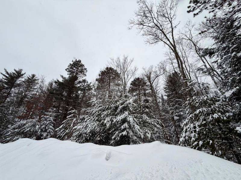 On Red Pine Ln, , Land O Lakes,  WI 54540