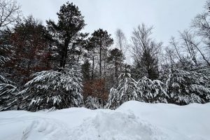 On Red Pine Ln, , Land O Lakes,  WI 54540