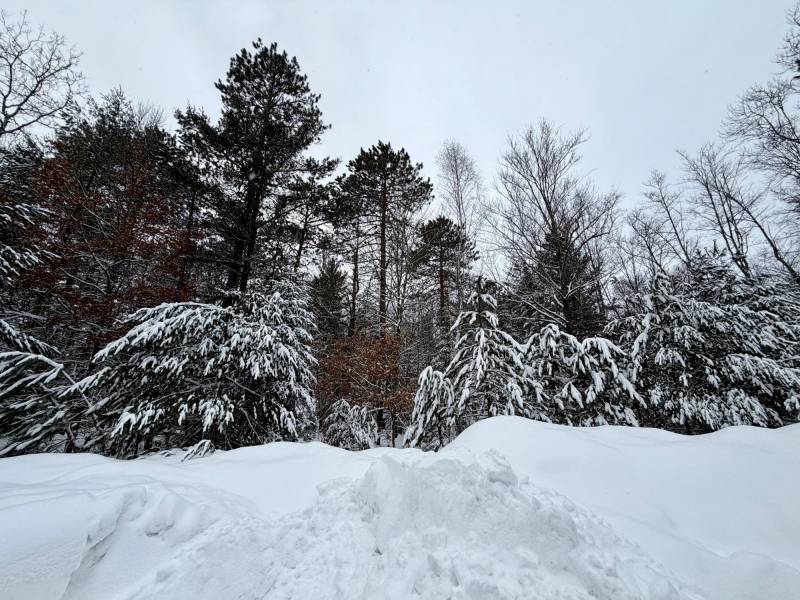 On Red Pine Ln, , Land O Lakes,  WI 54540