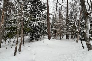 On Red Pine Ln, , Land O Lakes,  WI 54540