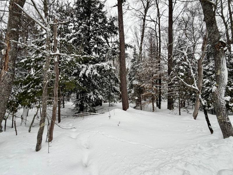 On Red Pine Ln, , Land O Lakes,  WI 54540