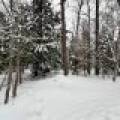 On Red Pine Ln, , Land O Lakes,  WI 54540