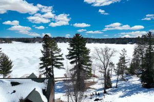 Lincoln, Eagle River,  WI 54521 USA