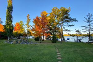 Lincoln, Eagle River,  WI 54521 USA