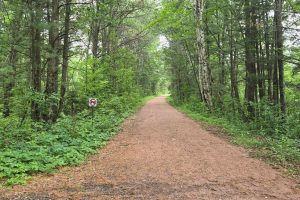 Bradley, Tomahawk,  WI 54487 USA