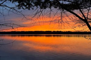 1/8698 Guest Rd, , Newbold,  WI 54558