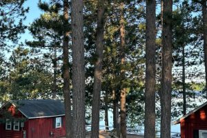 1/8698 Guest Rd, , Newbold,  WI 54558