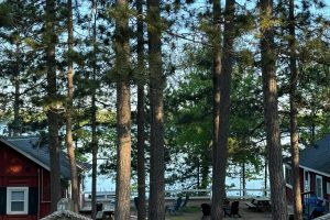 1/8698 Guest Rd, , Newbold,  WI 54558