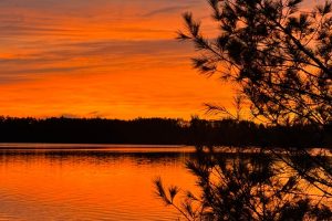 1/8698 Guest Rd, , Newbold,  WI 54558