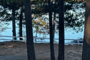 1/8698 Guest Rd, , Newbold,  WI 54558