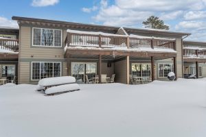 103/1972 Wild Eagle Ln, , Eagle River,  WI 54521