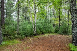 1378 Bluebird Ln, , Eagle River,  WI 54521