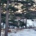 349-8250 Northern Rd, , Minocqua,  WI 54548