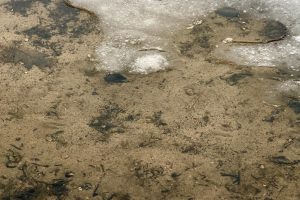 6652 Prune Lake Rd, , Crescent,  WI 545401