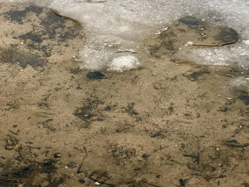 6652 Prune Lake Rd, , Crescent,  WI 545401