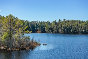 6844 Bengs Rd, , Three Lakes,  WI 54562