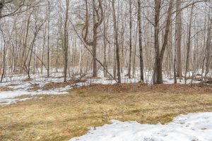 8506 E Frontier Cir, , Woodruff,  WI 54558