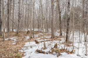 8506 E Frontier Cir, , Woodruff,  WI 54558