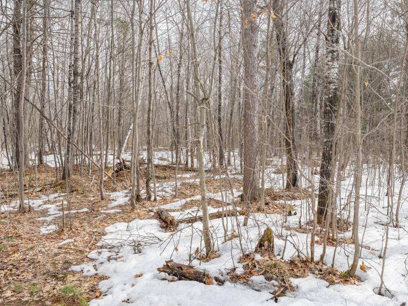 8506 E Frontier Cir, , Woodruff,  WI 54558