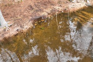 6529 Garret's Trl, Newbold, Rhinelander,  WI 54501 United States