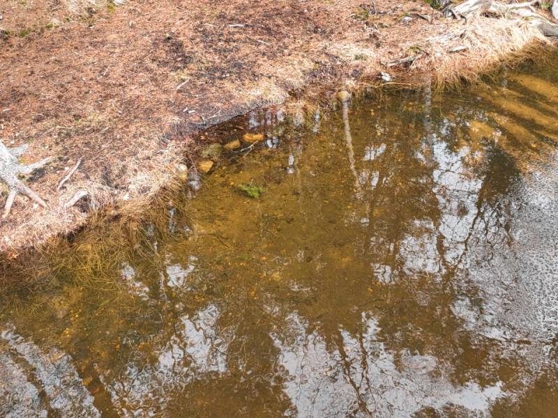 6529 Garret's Trl, Newbold, Rhinelander,  WI 54501 United States