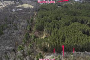 Lot 2 Curtis Lake Dr, Minocqua, Minocqua,  WI 54548 United States