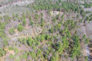 Lot 1 Off Zeman Rd, , Eagle River,  WI 54521