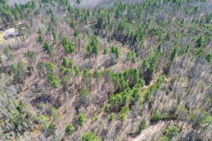 Lot 1 Off Zeman Rd, , Eagle River,  WI 54521
