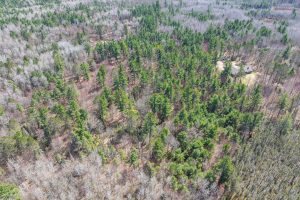 Lot 2 Off Zeman Rd, , Eagle River,  WI 54521
