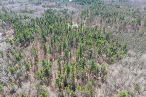 Lot 2 Off Zeman Rd, , Eagle River,  WI 54521