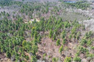 Lot 2 Off Zeman Rd, , Eagle River,  WI 54521